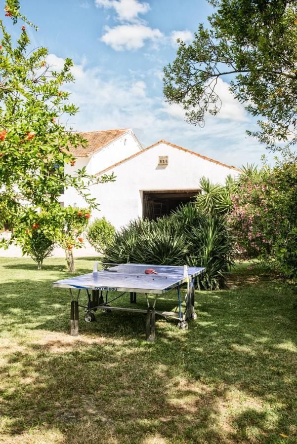 Mas De Bouvet En Camargue Bed & Breakfast Albaron Exterior photo