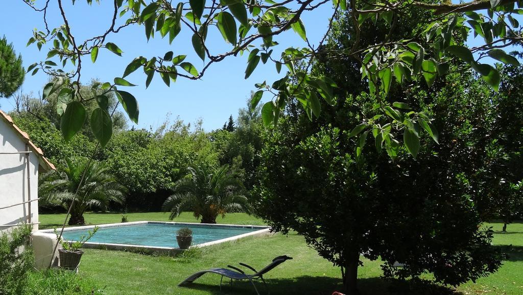 Mas De Bouvet En Camargue Bed & Breakfast Albaron Exterior photo