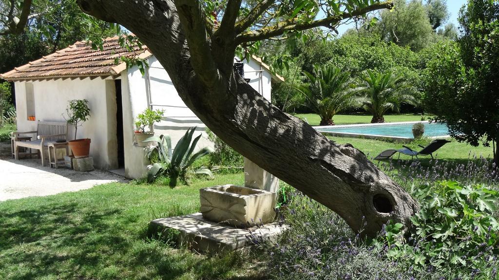 Mas De Bouvet En Camargue Bed & Breakfast Albaron Exterior photo