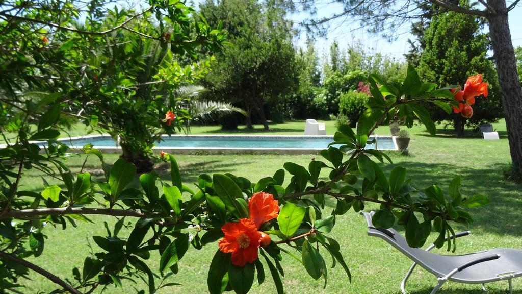 Mas De Bouvet En Camargue Bed & Breakfast Albaron Exterior photo