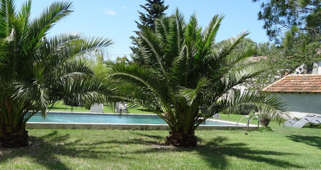 Mas De Bouvet En Camargue Bed & Breakfast Albaron Exterior photo