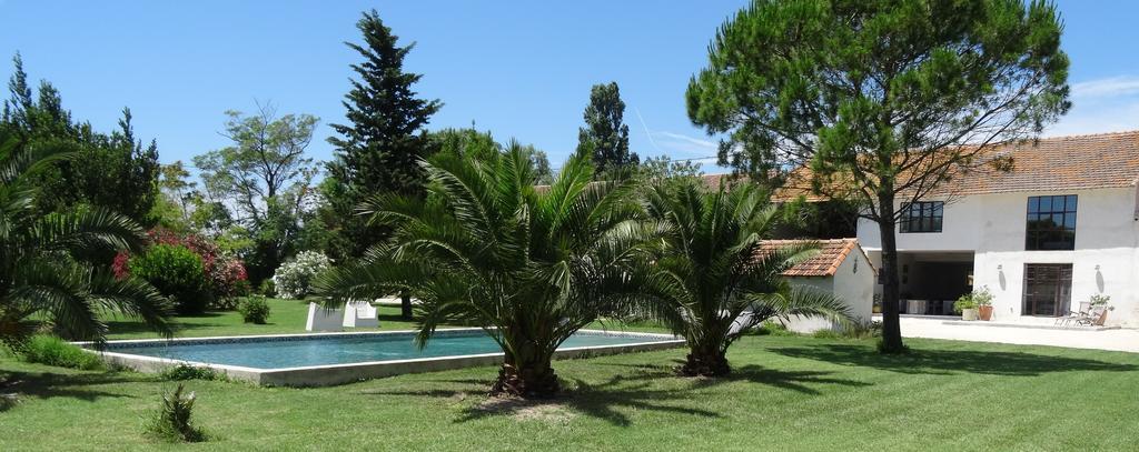 Mas De Bouvet En Camargue Bed & Breakfast Albaron Exterior photo