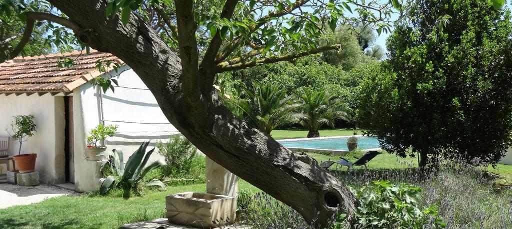 Mas De Bouvet En Camargue Bed & Breakfast Albaron Exterior photo