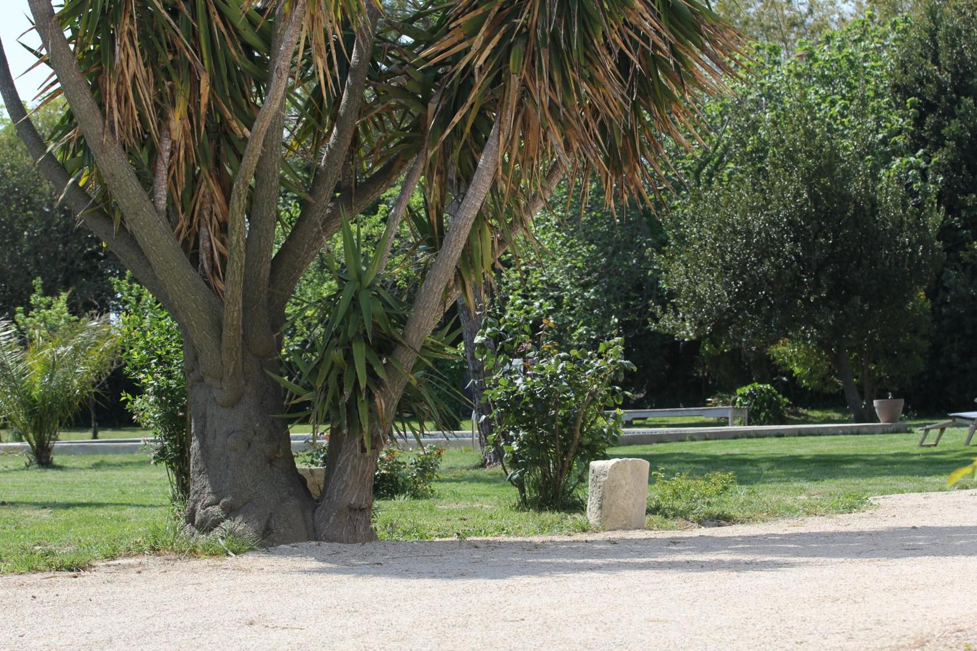 Mas De Bouvet En Camargue Bed & Breakfast Albaron Exterior photo