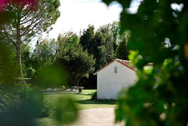 Mas De Bouvet En Camargue Bed & Breakfast Albaron Exterior photo