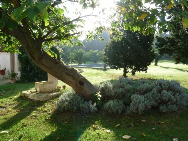 Mas De Bouvet En Camargue Bed & Breakfast Albaron Exterior photo