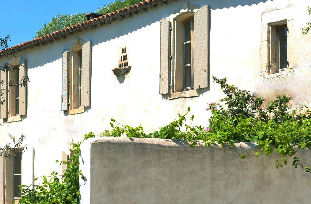 Mas De Bouvet En Camargue Bed & Breakfast Albaron Exterior photo